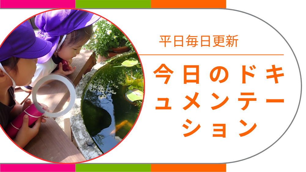 平日毎日更新　今日のドキュメンテーション　8月13日公開