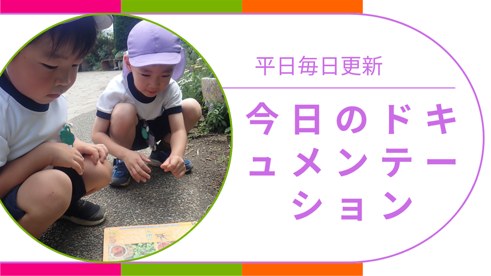 平日毎日更新　今日のドキュメンテーション　8月20日公開