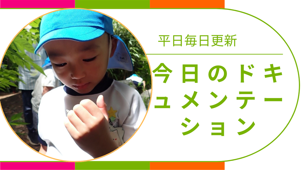 平日毎日更新　今日のドキュメンテーション　8月26日公開