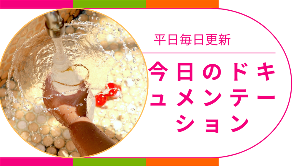 平日毎日更新　今日のドキュメンテーション　8月27日公開