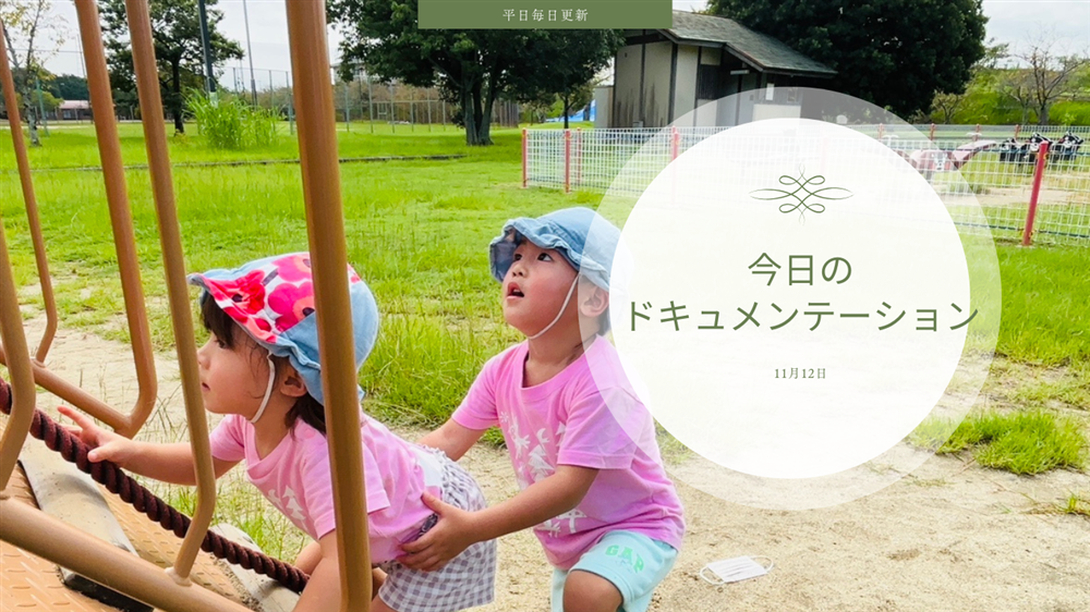 平日毎日更新　今日のドキュメンテーション　11月12日公開