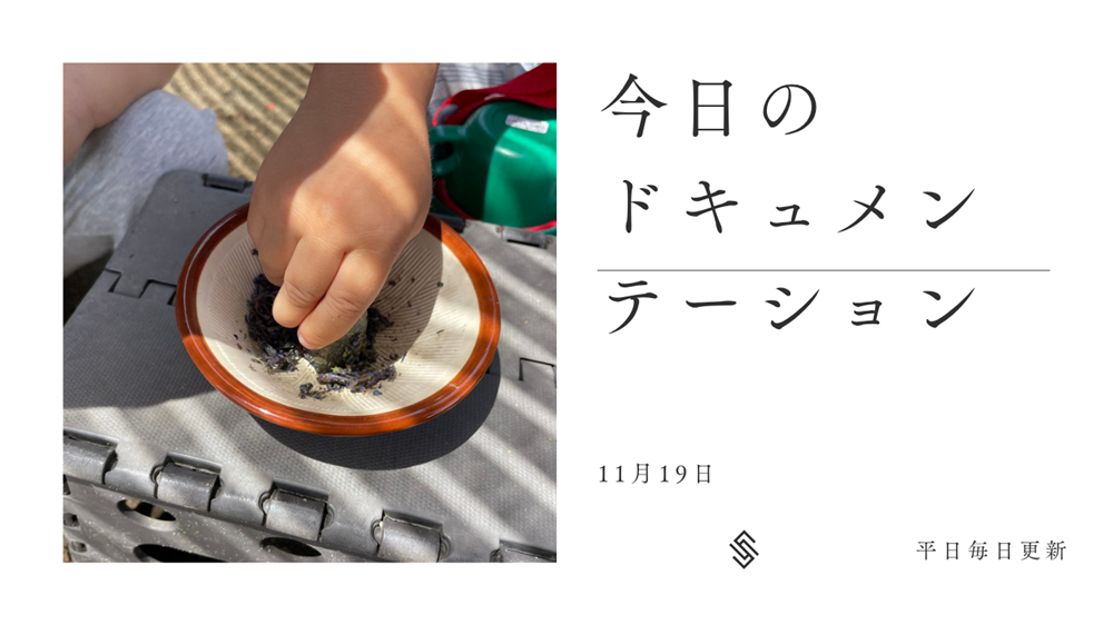 平日毎日更新　今日のドキュメンテーション　11月19日公開