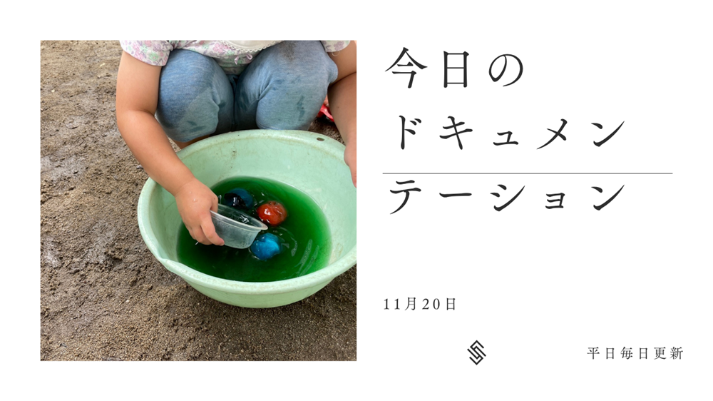 平日毎日更新　今日のドキュメンテーション　11月20日公開