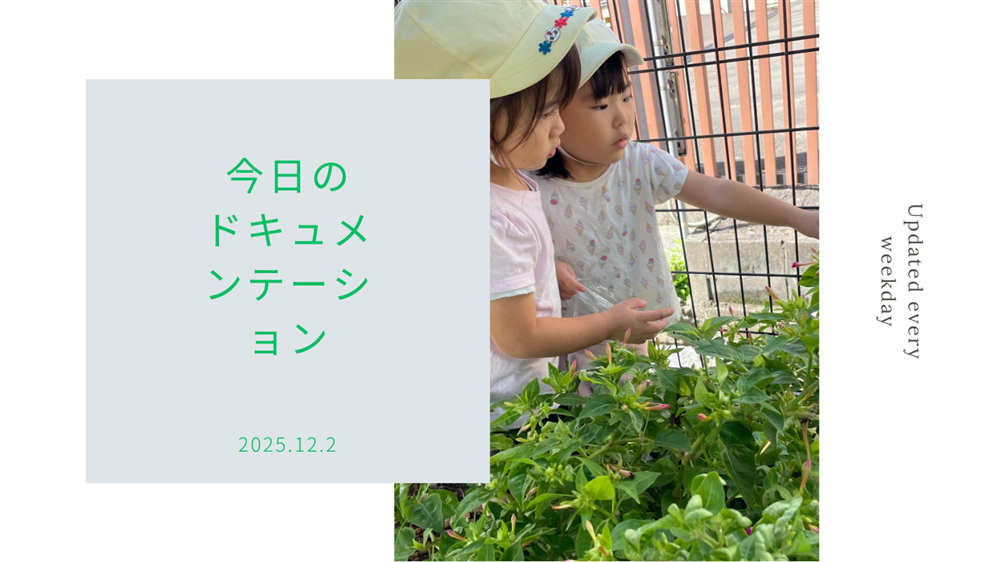 平日毎日更新　今日のドキュメンテーション　12月02日公開